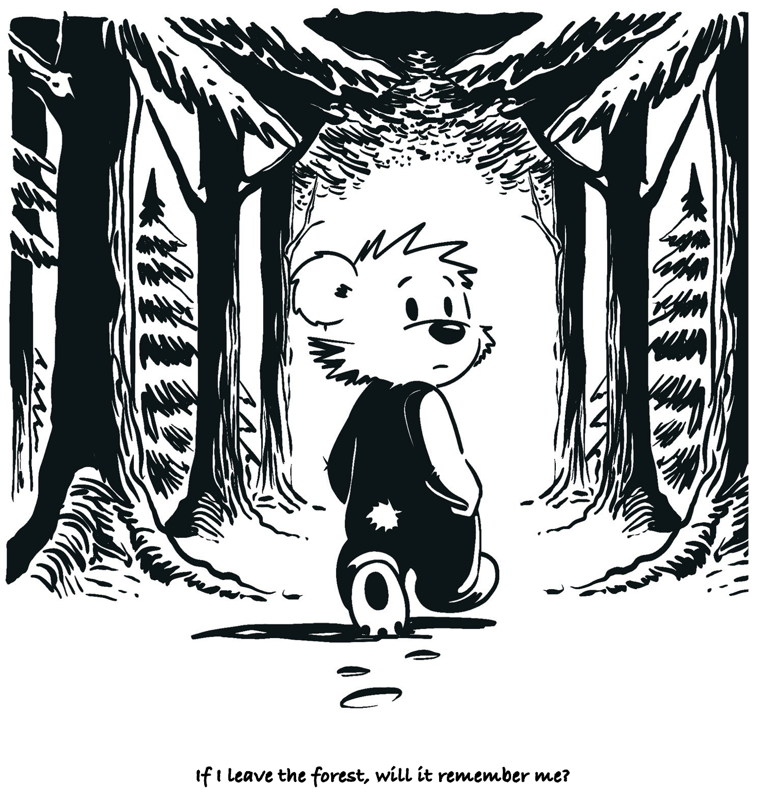 Forest’s memory (Musings)