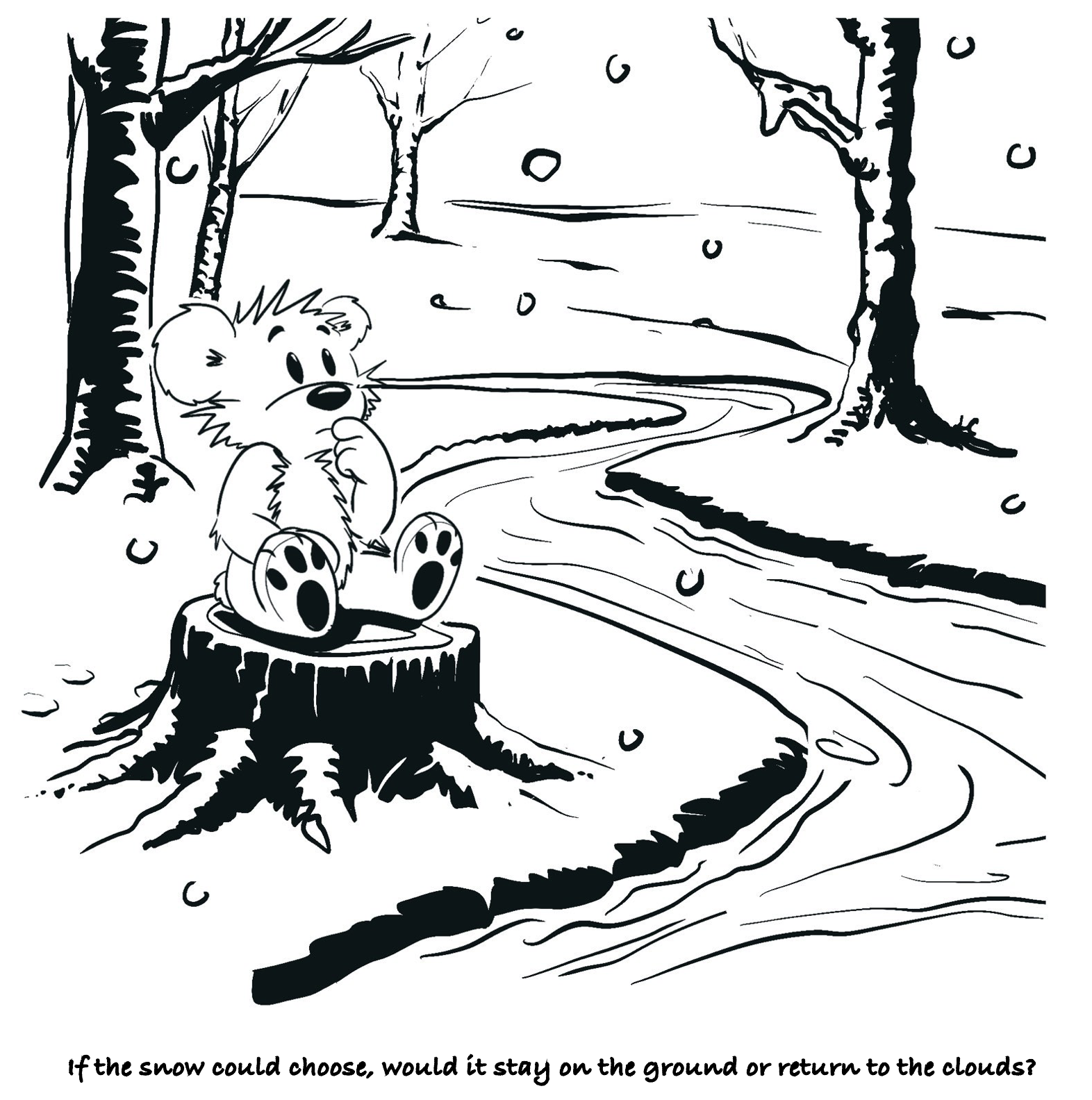 Snow Flakes Choice (Musings)