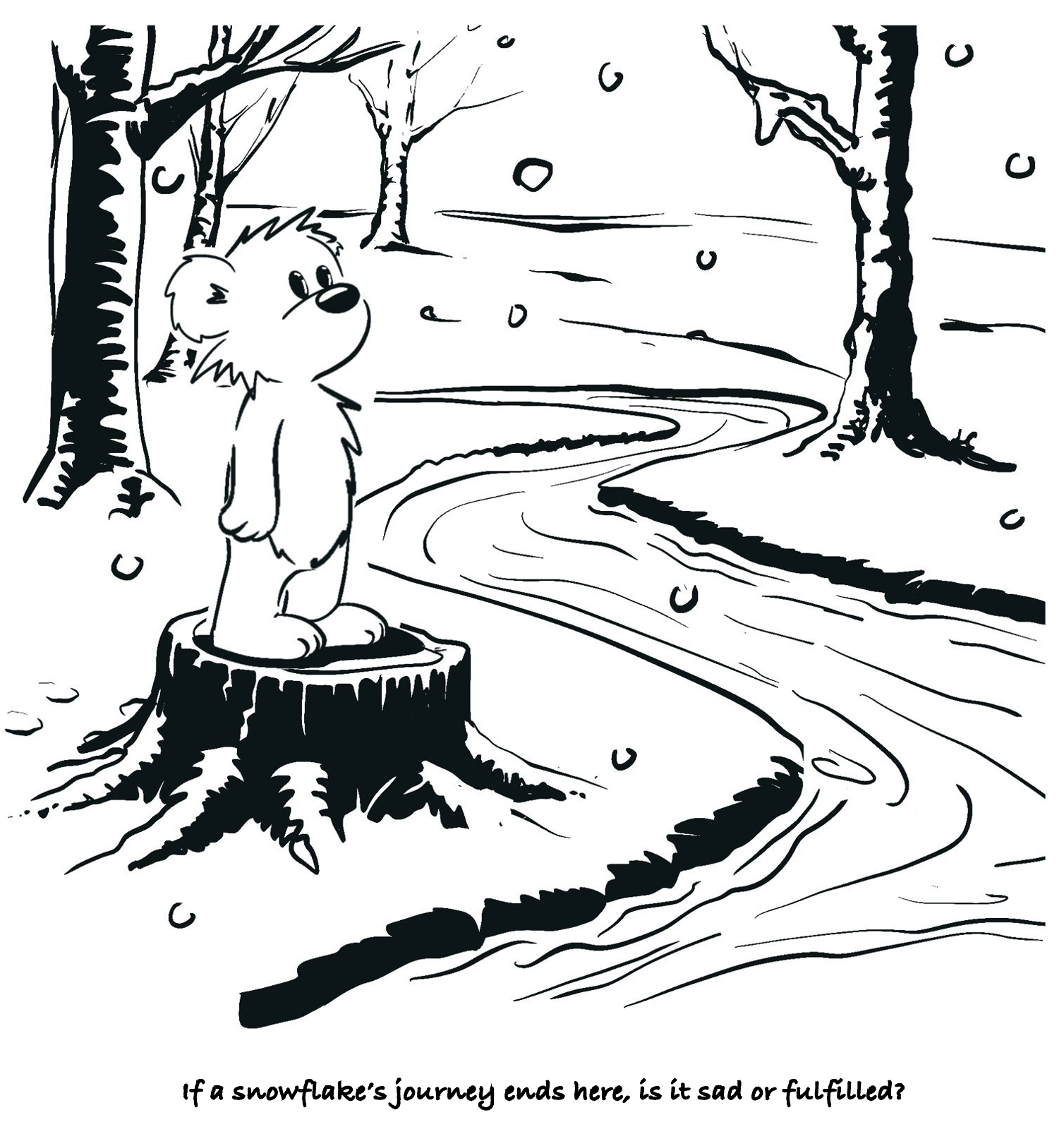 Snowflake’s Journey (Musings)