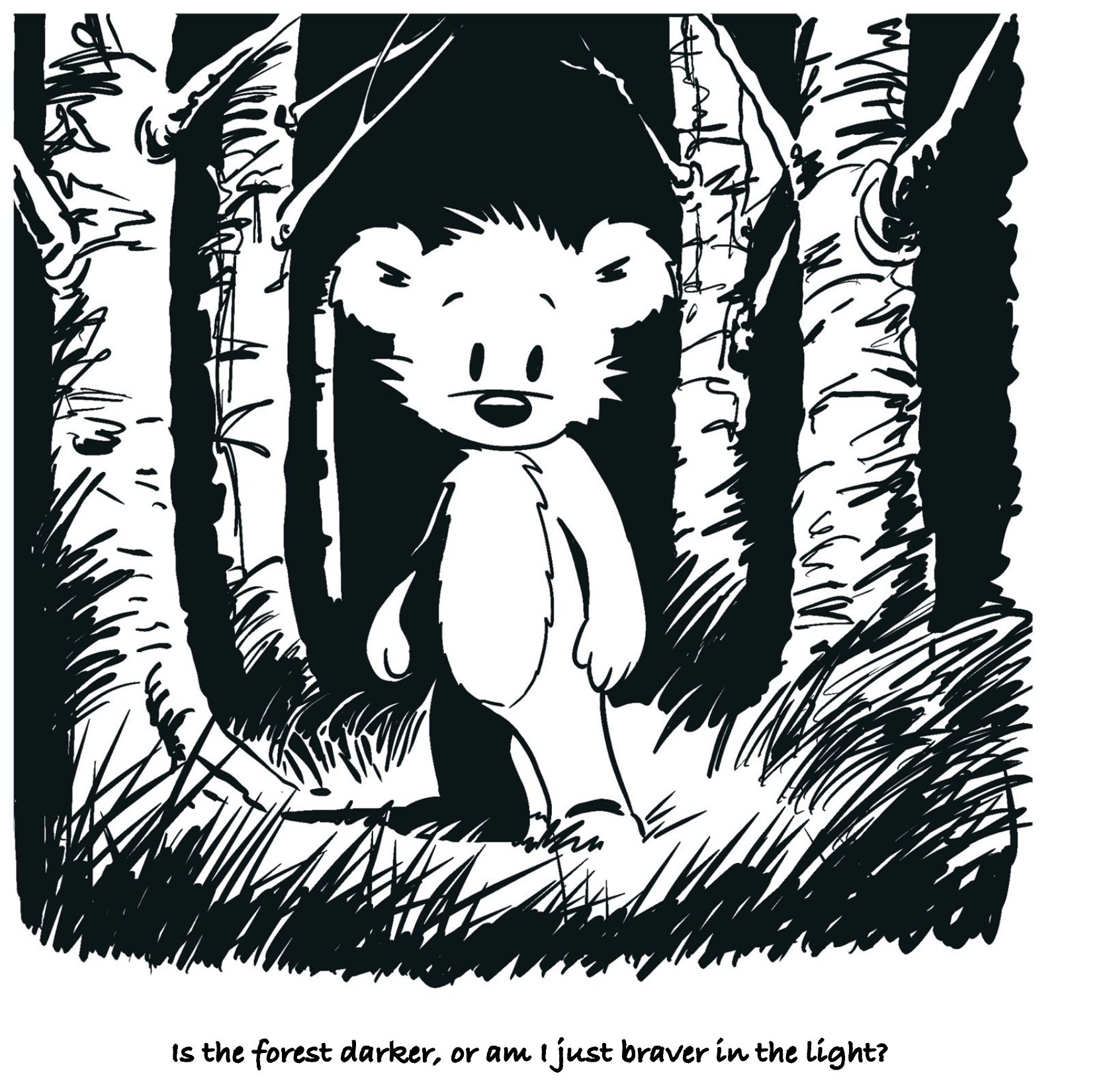 The Brave Little Bear (Musings)